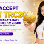 USDT Deposits and Withdrawals in Malaysia: How Stablecoin Casino Banking Works